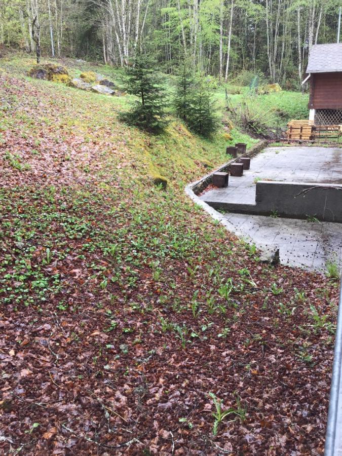 Le Refuge Apparts Et 1Chalets A Samoens 74 Eksteriør bilde